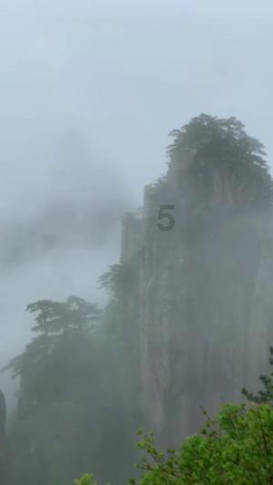 中国“金花”无限未来