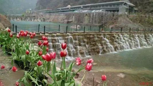 终结者2官方手游