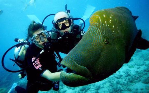 青海湖北岸：生态环境治理加快实施 物种数量稳中有增