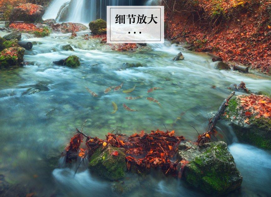 泡弹学院